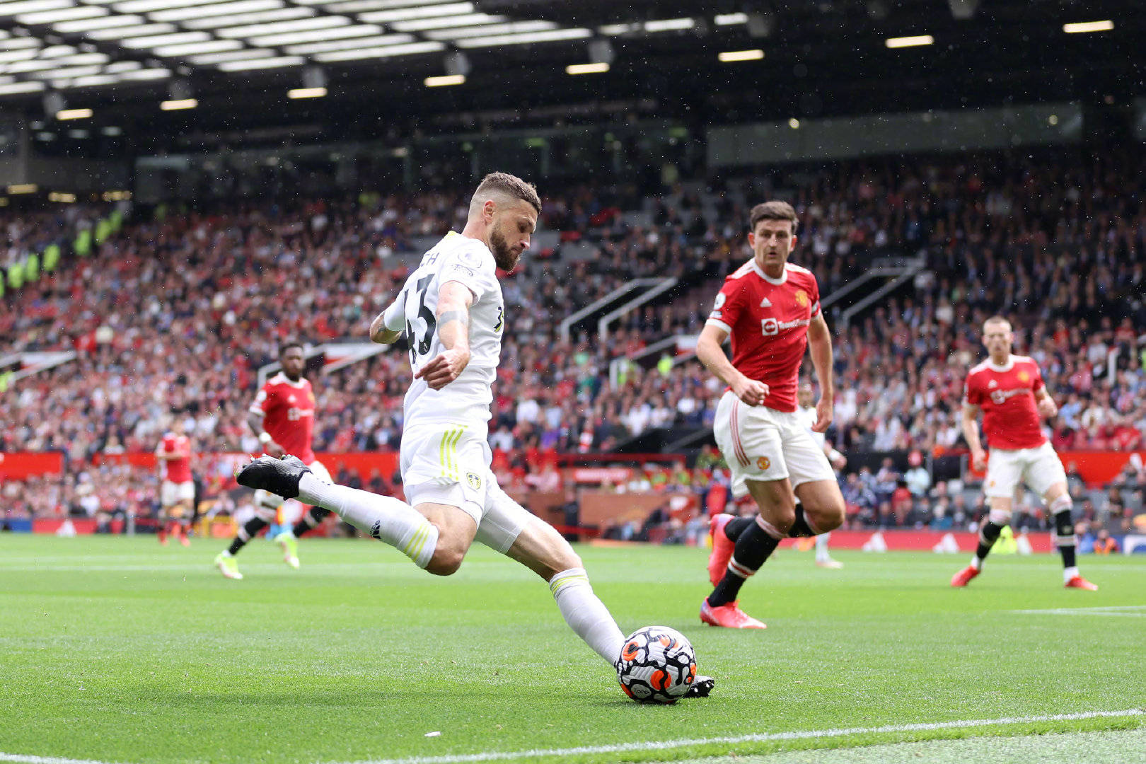 在某些文化 在某些文化